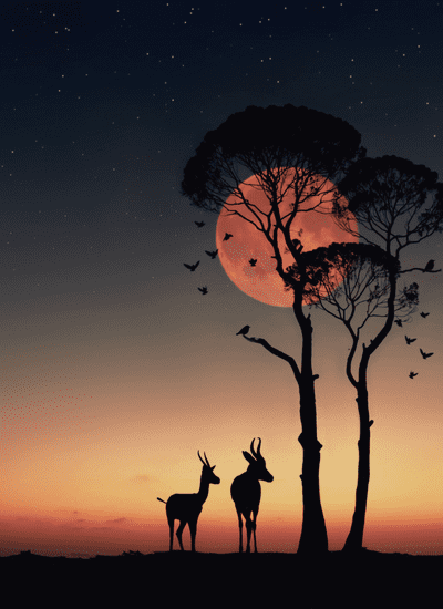 5 DAYS TANZANIA JEWELS MIDRANGE SAFARI