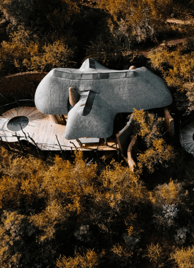 6 Days Luxury Samburu & Mara