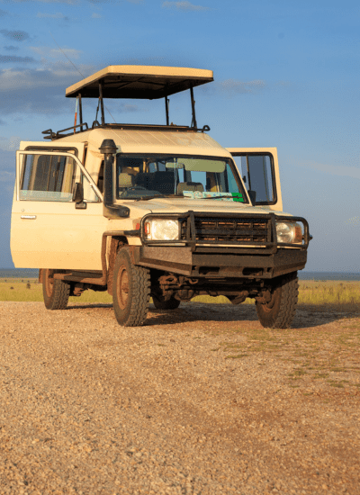 6 Days Wings Over Amboseli & Mara