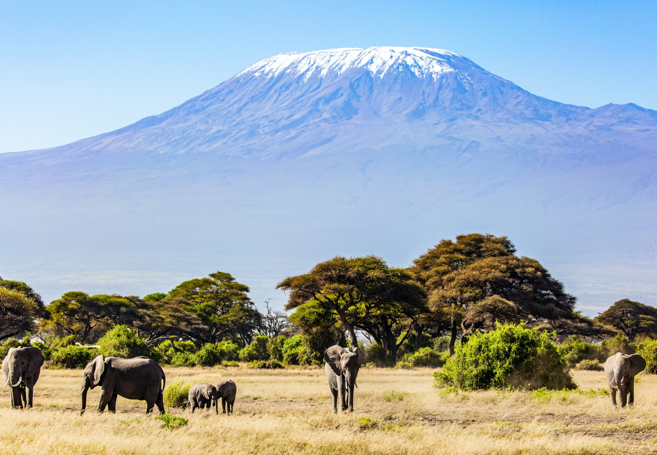 Mt. Kenya